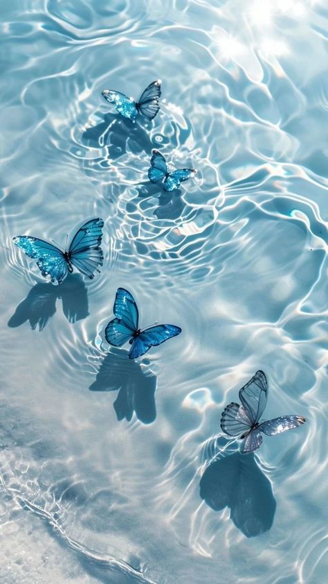 Free download of high-quality iPhone wallpapers dreamy beauty of nature – Bujo Art Shop Wallpaper Cantik Iphone, Helloween Wallpaper, ليلو وستيتش, Underwater Wallpaper, Wallpaper Estetika, Cute Summer Wallpapers, Wallpaper Cantik, Cute Blue Wallpaper, Butterfly Wallpaper Backgrounds