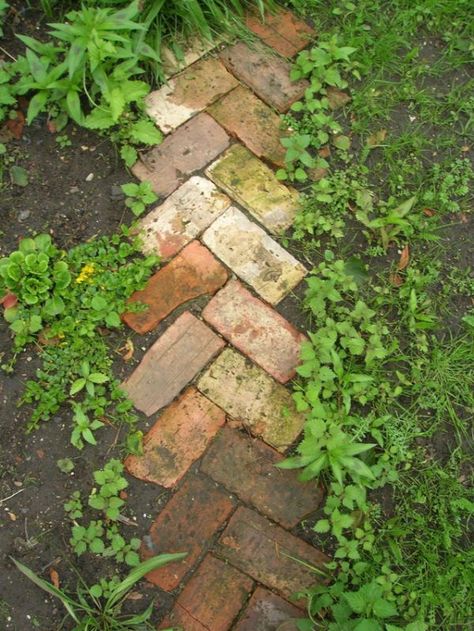 Simple walkway idea, reusing old bricks. Could also be used as a border. Do this when we redo the front planters Brick Path, نباتات منزلية, Garden Walkway, Recycled Garden, Have Inspiration, The Secret Garden, Garden Pathway, Garden Edging, Garden Borders