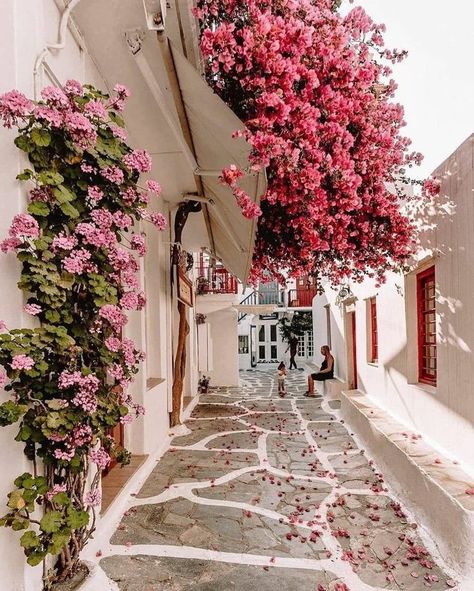 Wildlife Garden, Beautiful Streets, Beautiful Places To Travel, Pretty Places, Shade Garden, Mykonos, Travel Aesthetic, Dream Vacations, Travel Dreams