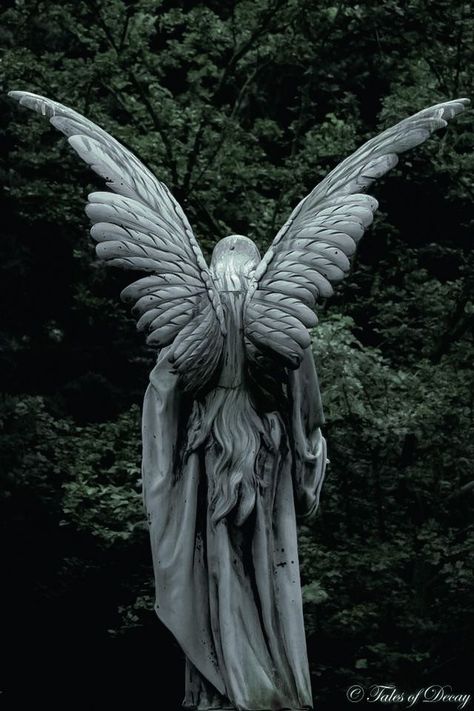 Dark Green Aesthetic Background, Dark Forest Aesthetic, Cemetery Statues, Ancient Greek Sculpture, Greek Statues, Angel Statue, Angel Sculpture, Dark Green Aesthetic, Cemetery Art