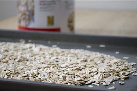 How to Toast Oats=You can use toasted oats in place of regular oats in breakfast cereals as well as recipes such as granolas, cookies and as the topping for crisps. Roasted Oats, Oatmeal How To Make, Toasted Oats, Cook More, Healthy Grains, Wellness Recipes, Baked Oats, Breakfast Muffins, Oats Recipes