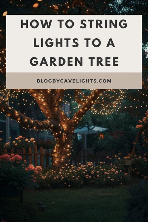 🌟 Transform your backyard into a mesmerizing retreat! Discover expert tips on adding string lights to your garden trees for a captivating glow. Click to unlock the secrets of stunning garden lighting design! 💡 Outdoor Tree Lighting Ideas, Outside Tree Lights, Fairy Lights Trees Backyards, Backyard Tree Lights, Light A Tree, Fairy Lights On Trees, Back Yard Lights, Lighting Trees Outdoor, Lights In Trees Backyard