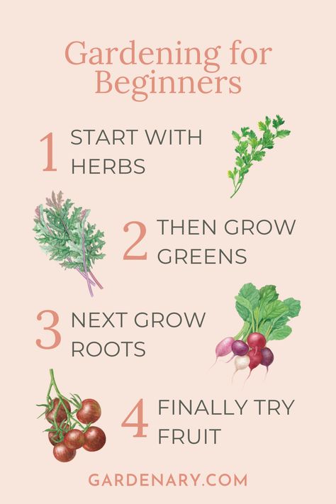 If you're a beginner gardener, the easiest way to get started learning how to garden is by following these four steps. Small Beginner Garden, Best Vegetables To Grow For Beginners, Garden For Beginners Vegetable, Herb Gardening For Beginners, Home Steading For Beginners, How To Garden For Beginners, Easy Beginner Garden, How To Start A Garden, Beginner Garden Layout