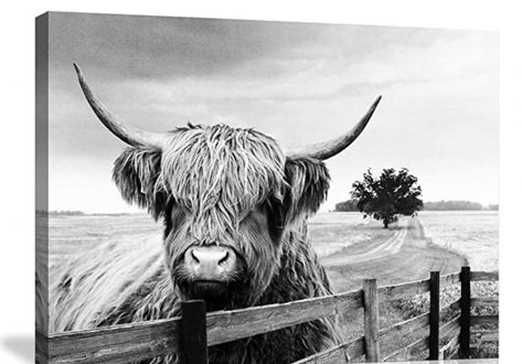 Modern Western Home, Cowgirl Sayings, Cow Pics, Highland Cow Pictures, Duck Wall Art, Bull Pictures, Cows And Calves, Highland Cow Painting, Bathroom Theme