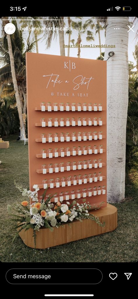 Wedding Sign Decor, Destination Wedding Decor, Beachy Wedding, Shots Ideas, Cabo Weddings, Wedding Wall, Seating Plan Wedding, Future Wedding Plans, Wedding Drink