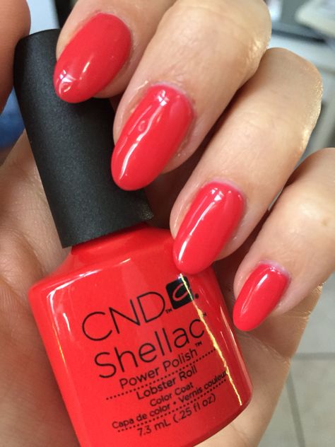 CND Shellac Lobster Roll + Brisa lite sculpting gel Christmas Nails Gel, Mini Manicure, Cnd Shellac Colors, Cnd Nail Polish, Cnd Shellac Nails, Shellac Colors, Opi Gel Nails, Cnd Nails, Gel Colors