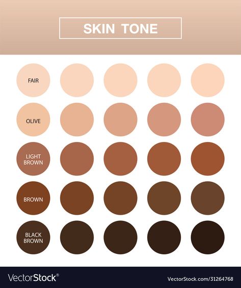 Brown Skin Tones Chart, Skin Colours Chart, Color Wheel Skin Tone, Skintone Color Palettes Procreate, Human Color Palette, Skin Tone Chart Color Palettes, Brown Skin Color Palette, Skin Tone Chart Art, Color Skin Palette