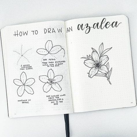 This is super cute @splendidscribbles and I’m sure lots of you could use this in your spreads too 📸💞 #notebooktherapy - Shop dotted… Hur Man Ritar Blommor, Doodles Draw, Drawings Of Flowers, Easy Flower Drawings, Flower Journal, Draw Easy, Flower Drawing Tutorials, Floral Doodle, Doodle Inspiration