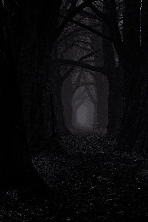 Dark Forest Aesthetic, Dark Castle, Gothic Wallpaper, Dark Nature Aesthetic, Dark Phone Wallpapers, Dark Pictures, Beautiful Dark Art, Fantasy Aesthetic, Dark Places