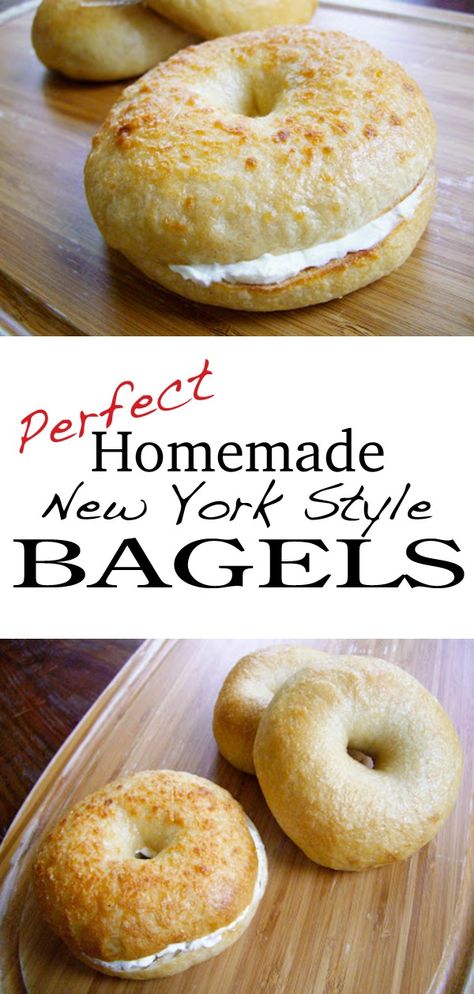 Yep, I said Perfect New York Style Bagels…  and I do mean perfect!! These were my second attempt at homemade bagels. The first was a much simpler recipe, and turned out great bagels. This recipe though, is a perfect copycat of my favorite New York Style bagel shop bagels! I’m sure I will be making...Read More » New York Style Bagels, Bagel Recipe Easy, Bread Oven, Homemade Bagels, Bagel Shop, Bagel Recipe, Baking Business, Bread Machine Recipes, Bread Recipes Homemade