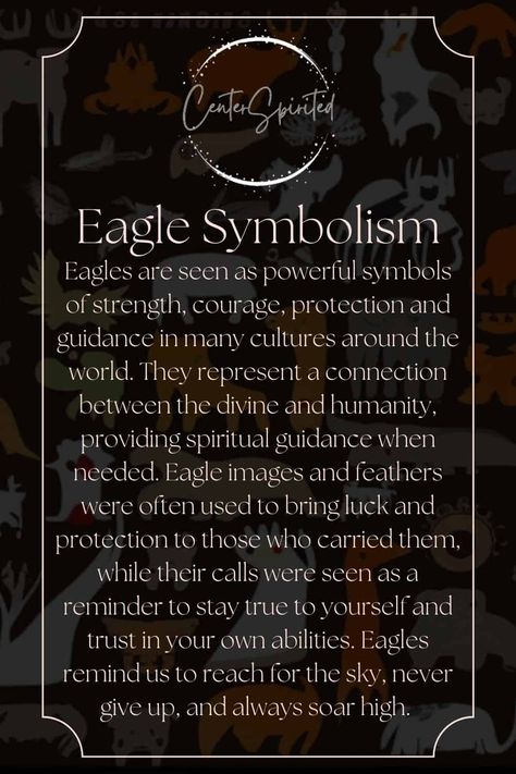 Black Feather Meaning, Phoenix Symbolism, Feather Meaning, Spirit Animal Meaning, Animal Meanings, Spiritual Animal, Animal Spirit Guides, Power Animal, Animal Symbolism