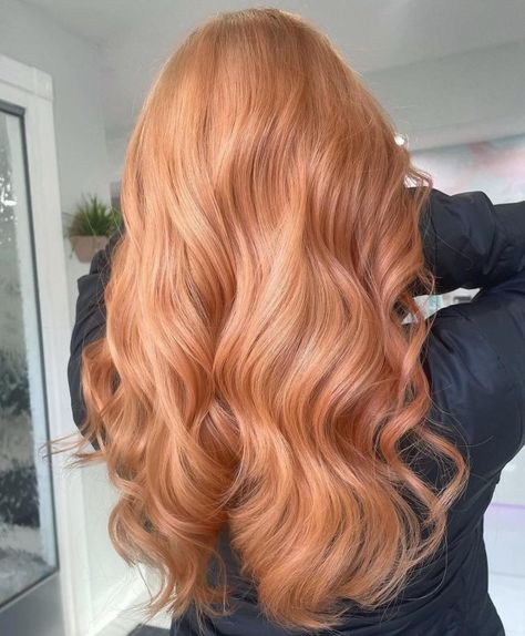 Bright Strawberry Blonde Hair Shade All Over Strawberry Blonde Color, Red Strawberry Blonde Hair, Strawberry Ginger Hair, Different Blonde Shades, Short Strawberry Blonde Hair, Strawberry Hair Color, Strawberry Blonde Hair Color Ideas, Natural Strawberry Blonde Hair, Strawberry Red Hair