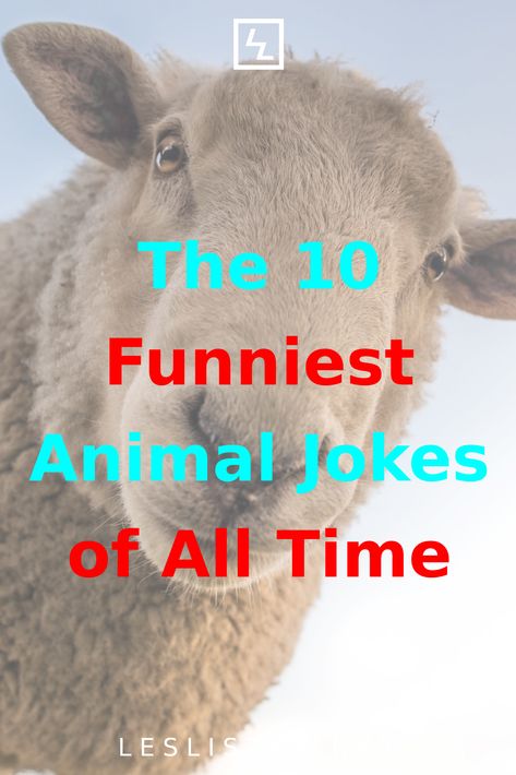 Animals have always been a source of inspiration for jokes, and the 10 funniest animal jokes of all time will make you laugh. Funny Animal Quotes, Funny Animal, Animal Jokes, 10 Funniest, Funny Animal Jokes, Sassy Quotes, Animal Quotes, You Funny, Source Of Inspiration