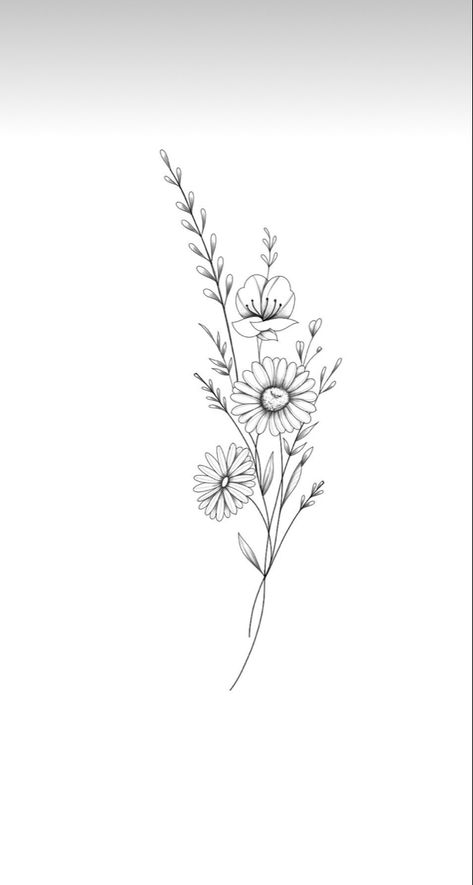 Line Work Flowers Tattoo, Flower Drawing For Tattoo, Tattoo Flower On Arm, Daisy And Poppy Flower Tattoo, Floral Tattoo With Lines, Tattoo Flowers Bouquet, Aster Forearm Tattoo, Wild Flowers Tattoos, Forearm Tats For Women Unique