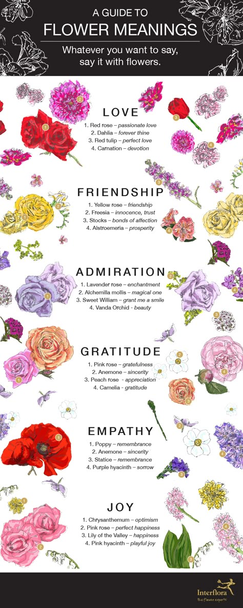 Flower Meanings Infographic - Interflora List Of Flowers Names, Flower Prompts, Types Of Flowers And Meanings, Different Flowers And Their Meanings, Tulip Meaning, Strong Flower, Meaningful Flowers, Monthly Flowers, Flowers And Their Meanings