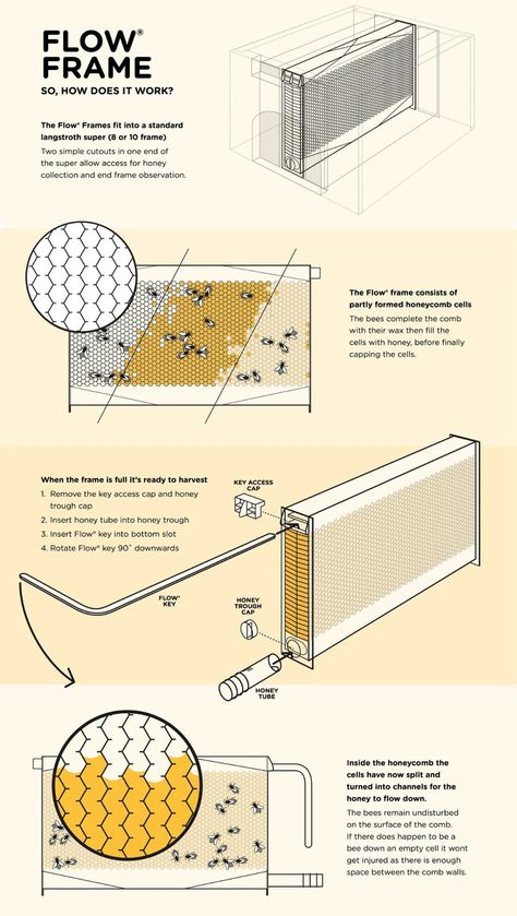 The world’s most innovative beehive makes beekeeping efficient, reduces waste & gets honey on tap! - Yanko Design Bee Diagram, Apiary Design, Bee Hives Boxes, Honey House, Flow Hive, Bee Hive Plans, Beehive Design, Backyard Bee, Beekeeping Equipment