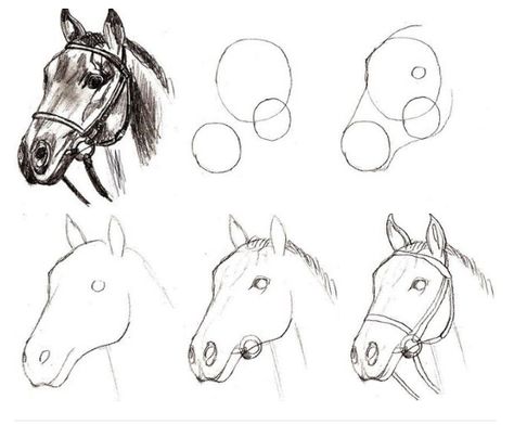 Horse Drawing Tutorial, Horse Art Drawing, Horse Sketch, Animal Drawings Sketches, Horse Drawing, Horse Drawings, Pencil Art Drawings, Art Drawings Sketches Creative, Animal Sketches