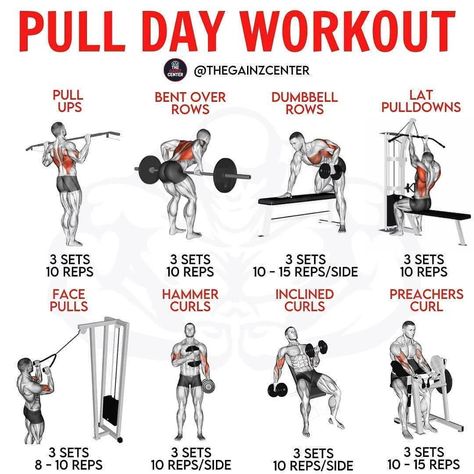 all_workout_tips  🇺🇸 🇬🇧 on Instagram: “⁣ 🔴 PULL DAY WORKOUT 🔴⁣⁣⁣⁣ ⁣⁣⁣⁣ 📥 Be sure to SAVE this for later!⁣⁣⁣⁣ ⁣⁣⁣⁣ Are you looking to 💪BUILD MUSCLE?💪⁣⁣⁣⁣ ⁣⁣⁣⁣ Then I highly…” Pull Day Gym, Push Day Workout, Push Pull Workout, Pull Day Workout, Pull Day, Gym Program, Workout Gym Routine, Push Workout, Push Day