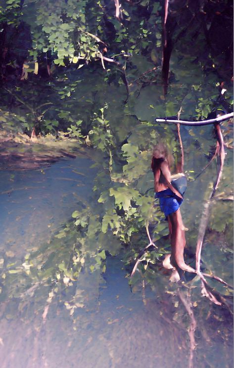 Please Picture, Swift 3, Jump In, The Swing, Taylor Swift, Swift, Trees