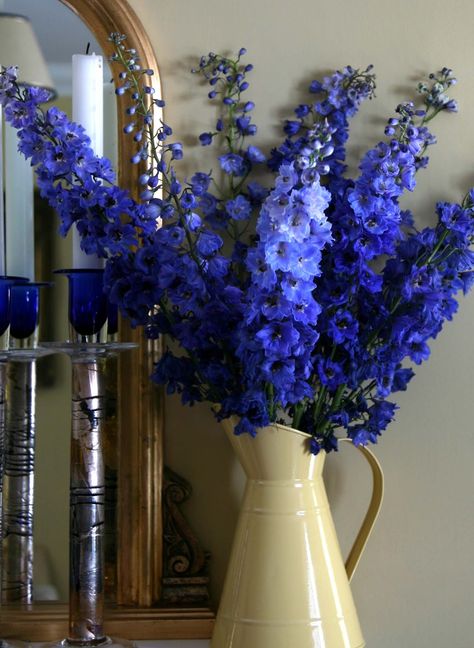 So British, Era Victoria, Blue Flowers Bouquet, Delphinium Flowers, Blue Delphinium, Flower Shops, Nothing But Flowers, Flower Therapy, Pretty Plants