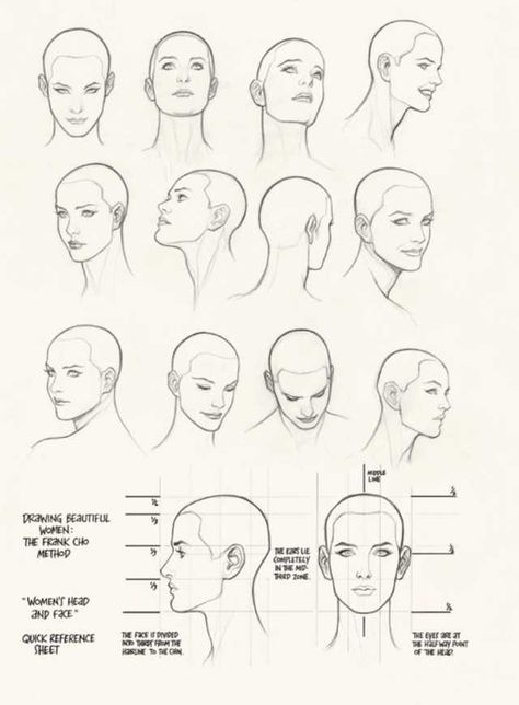 Imgur Post - Imgur Female Face Anatomy Drawing, Woman Neck Drawing, Women Head Drawing, Feminine Face Drawing, Female Face Structure, How To Draw Female Head, Female Face Drawing Sketches, Frank Cho Women, Head Structure Drawing