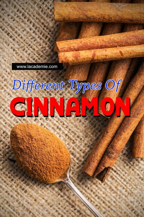 4 Different Types of Cinnamon to Know in 2024 Types Of Cinnamon, Saigon Cinnamon, Cassia Cinnamon, Ceylon Cinnamon, Cinnamon Chips, Peanut Butter Oatmeal, Spice Grinder, Cinnamon Powder, Spices And Herbs