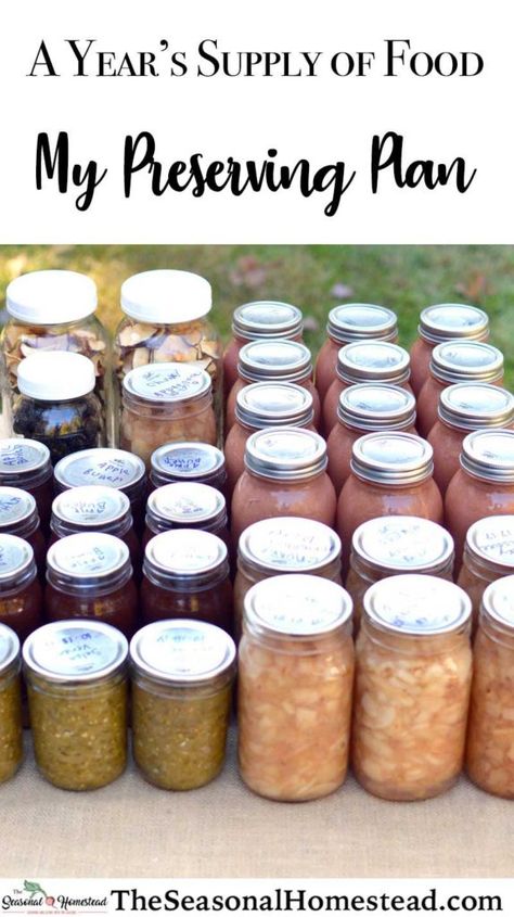 Canning Food For A Year, Canning For A Year, Preserving Garden Harvest, How To Preserve Food, Garden Preserving, Seasonal Homestead, Homesteading Garden, Homestead Pantry, Farming Garden