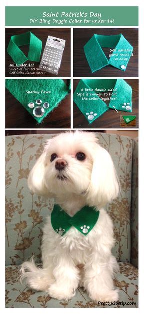 Cuello verde Dogs Accessories, Bling Dog Collars, Diy Bling, Dog Bling, Dog Clothes Patterns, Dog Projects, Dog Crafts, Dog Items, Animal Projects