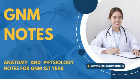 Anatomy And Physiology Notes PDF For GNM 1st Year- 2024 Gnm Nursing Notes, Gnm Nursing Notes 1st Year, Circulatory System Function, Anatomy And Physiology Notes, Respiratory System Function, Gnm Nursing, Physiology Notes, Nursing Management, Community Health Nursing