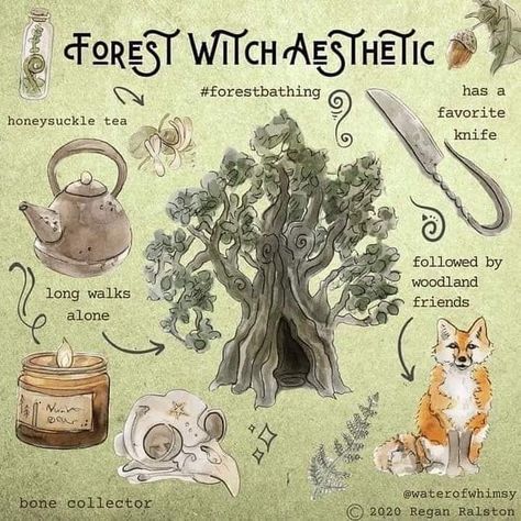 Forest Witch Aesthetic, Whimsy Art, Cottage Witch, Green Witchcraft, Magia Das Ervas, Forest Witch, Postal Vintage, Eclectic Witch, Wiccan Spell Book