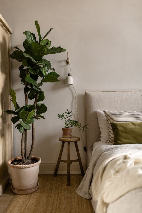 Bedroom Plants Decor, Teenage Room Decor, Natural Bedroom, Devol Kitchens, Relaxing Bedroom, Bedroom Plants, In The Corner, Style Deco, Room Inspiration Bedroom