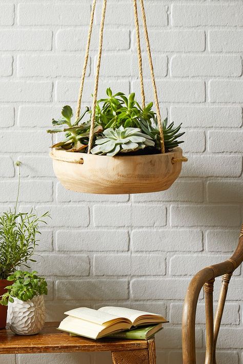 Indoor hanging plant holders are an easy way to add greenery to your home without crowding floor space or tabletops. Check out 23 of our favorite DIY hanging plant holders that effortlessly incorporate greenery into your home decor. #plants #houseplantsdecor #hangingplanters #plantdecor #bhg Diy Planters Indoor, Plant Display Ideas, Hanging Plants Diy, Garden Cactus, Diy Hanging Planter, Hanging Planters Indoor, Plant Pot Holders, Hanging Plant Holder, Hanging Plants Indoor