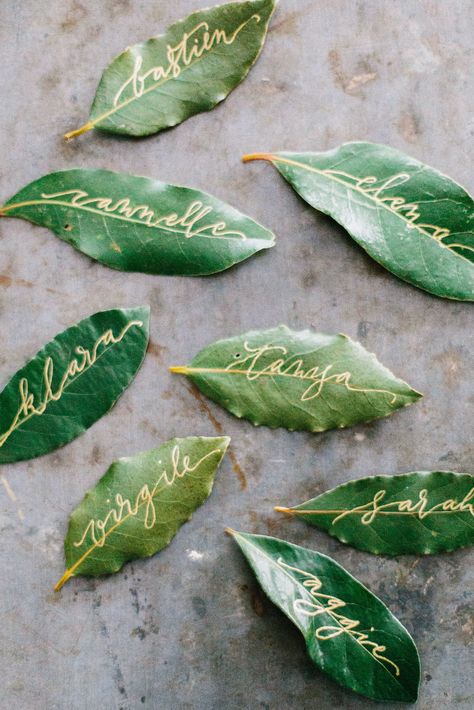 Garden Provence, Secret Garden Parties, Magnolia Leaf, Dinner Party Decorations, Secret Garden Wedding, Garden Party Decorations, Outdoor Wedding Inspiration, Outdoor Dinner, Garden Birthday