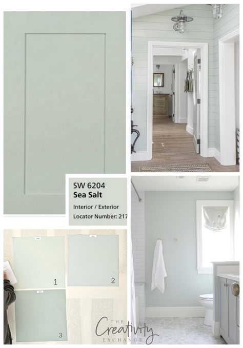 Sherwin Williams Sea Salt is... - The Creativity Exchange Seasalt Color Bathroom, Sea Salt Paint Colors Sherwin Williams, Paint Bathroom Walls Ideas, Sea Salt Sherwin Williams Basement, Sw Sea Salt Bathroom Cabinets, Sea Salt Wall Color, Sherwin Williams Sea Foam, Paint Pallets For Home Color Schemes Sherwin Williams, Sea Mist Paint Color