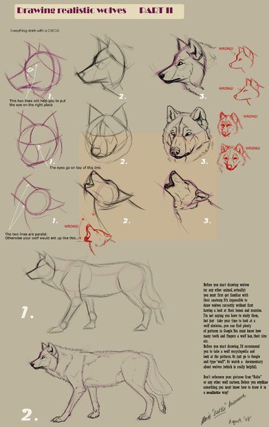 Draw A Wolf, Realistic Animal Drawings, Wolf Sketch, Drawing Realistic, Beauty Drawings, Realistic Sketch, Drawing Eyes, Wolf Drawing, Sketches Tutorial