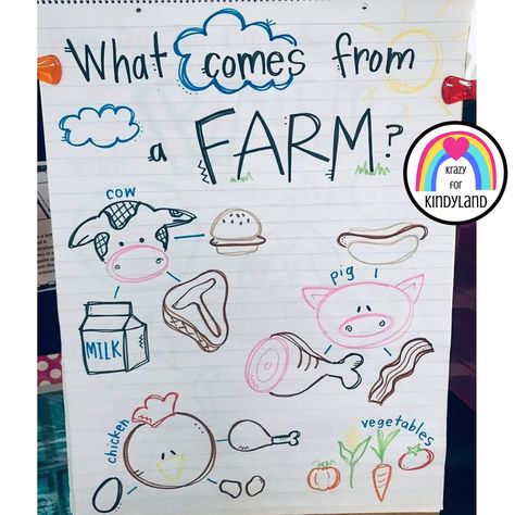 Farm Animal Small Group Activities, Farm Theme Arts And Crafts, Farm Question Of The Day Preschool, Farm Ideas Preschool, Farm Anchor Chart, Farm To Table Preschool, Farm And Harvest Preschool, Farm Science Preschool, Farm To Table Preschool Activities