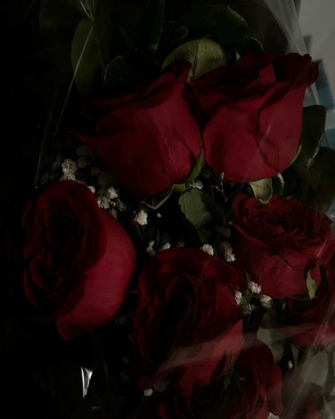 Give me my flowers. Picture Of Roses Flower, Red Vibes Aesthetic, Red Aesthetic Flowers, Arianna Core, Rose Flowers Aesthetic, Red Flowers Aesthetic, Morgan Aesthetic, May Aesthetic, Give Me Flowers