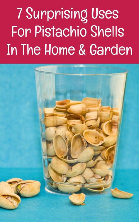 Wow - who knew you could do so much with pistachio shells! How To Use Pistachio Shells, Pistachio Nut Shell Crafts, Diy Crafts With Pistachio Shells, Pistachio Shell Art Ideas, Pistachio Art Ideas, Craft With Pistachio Shells, Crafts With Pistachio Shells, Pistachio Shell Art, Art With Pistachio Shells