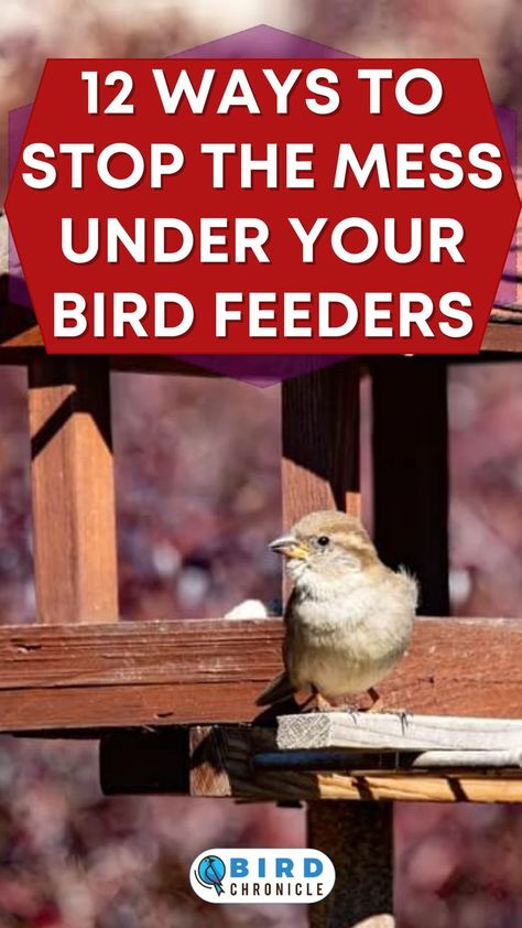 Backyard Bird Feeders Garden Ideas, Diy Hummingbird Feeder, Bird Feeder Station, Backyard Birds Watching, Backyard Birds Sanctuary, Backyard Birds Feeders, Make A Bird Feeder, Best Bird Feeders, Bird Feeder Plans