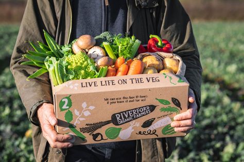 Fruit And Veg Shop, Vegetable Packaging, Vegetable Boxes, Fruit Packaging, Supermarket Design, Fruit Shop, Healthy Food Delivery, Box Packaging Design, Sustainable Food