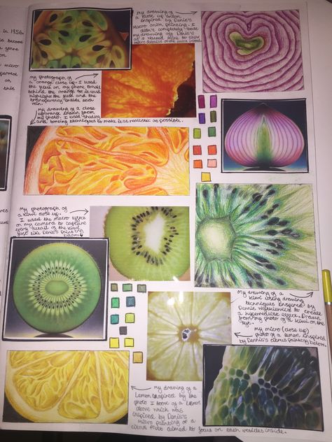 Macro and micro fruit studies Photography Analysis, Natural Forms Gcse, Sketchbook Layout, Textiles Sketchbook, Natural Form Art, Art Alevel, Gcse Art Sketchbook, A Level Art Sketchbook, Observational Drawing