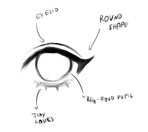 Anime Eye Shapes Reference, Round Eye Drawing Reference, How To Draw Round Eyes, Wink Reference Drawing, How To Draw Aegyo Sal, Round Anime Eyes, Round Eyes Drawing, Soft Eyes Drawing, How To Draw Lashes