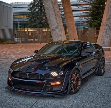 Cars Outside, Cars Mustang, Modern Muscle Cars, Cars Bmw, Ford Mustang Car, Ford Mustang Shelby Gt500, Mustang Cobra, Shelby Gt, Ford Shelby