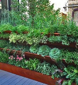 Vegetable Garden Design, Terraced Vegetable Garden, Vertical Vegetable Gardens, Herb Wall, Small Vegetable Gardens, Backyard Vegetable Gardens, Garden Wallpaper, Casa Exterior, Veg Garden