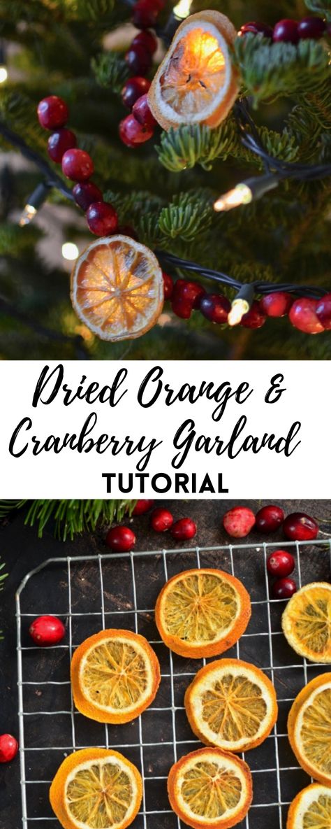 Yammie's Noshery: How to Make Dried Orange and Cranberry Garland {Tutorial} How To Make Dried Orange And Cranberry Garland, How To Make Dried Fruit Garlands, Diy Christmas Ornaments Oranges, Christmas Tree With Cranberry Garland, Cranberry Decorations Thanksgiving, Dried Orange Cranberry Garland, Diy Tree Garland Ideas, Homemade Garland Christmas Tree, Orange Cranberry Garland Christmas