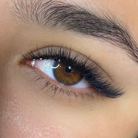 Sultry fox eyes are IN ✨ @lasshesbyliv created this look using Faux Mink Bold X40: 0.07 & 0.15 mm diameter | 8-12 mm with a few 13s #XtremeLashes #Lashista #LashExtensions Natural Fake Eyelashes, Lash Extentions, Eyelash Extensions Styles, Lash Extensions Styles, Perfect Eyelashes, Fox Eyes, Natural Eyelash Extensions, Volume Eyelash Extensions, Beautiful Eyelashes