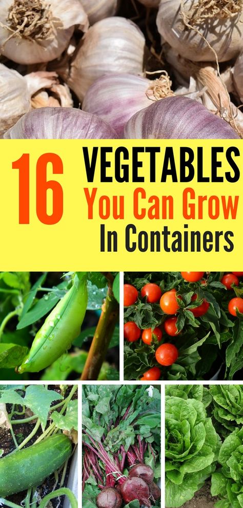 Growing In Containers, Vertical Container Gardening, Gemüseanbau In Kübeln, Vertical Vegetable Garden, Container Garden Design, Container Vegetables, Delicious Vegetables, Home Vegetable Garden, Container Gardening Vegetables