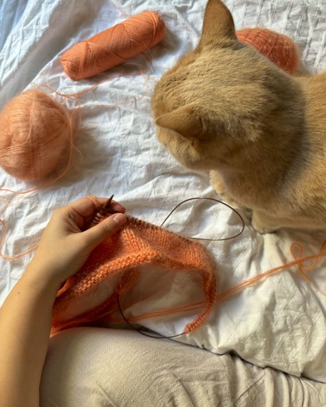 New Project - a short story in pictures 🐈🍊🤍 #knitting #knittersofinstagram #handmade #knit #crochet #yarn #knittingaddict #rg #knitstagram #knittinglove #stricken #instaknit #wool #yarnlove #i #knitwear #crochetersofinstagram #yarnaddict #knitter #inspiration #knittersgonnaknit #knittinginspiration #majasweatervneck #knittersoftheworld #strikk #nevernotknitting #tricot #handknit #diy #knitters Grandma Knitting Aesthetic, Knitter Aesthetic, Aesthetic Knitting Pictures, Knitting Aesthetic, Grandma Knitting, Knitting Inspiration, Knitting Designs, Knit Crochet, Yarn