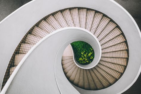 Staircase Pictures, Circular Stairs, Fibonacci Spiral, Elements And Principles, Design Theory, Spiral Stairs, Principles Of Design, Golden Ratio, Elements Of Design