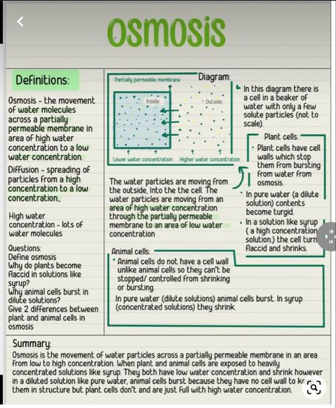 Study Guide Biology, Osmosis Revision Notes, Biology Notes Osmosis, Biology Flashcards Gcse, Biology Osmosis Notes, Osmosis Notes Biology, Gcse Science Revision Biology, Gcse Science Notes, How To Revise For Science